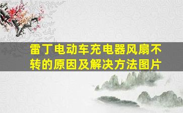 雷丁电动车充电器风扇不转的原因及解决方法图片