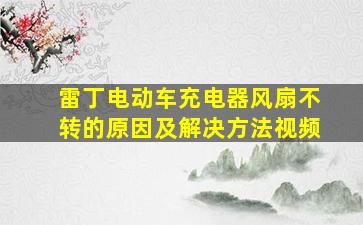 雷丁电动车充电器风扇不转的原因及解决方法视频