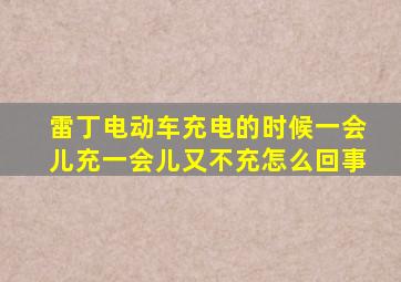 雷丁电动车充电的时候一会儿充一会儿又不充怎么回事