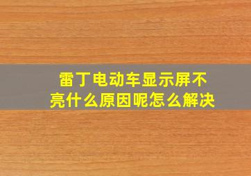 雷丁电动车显示屏不亮什么原因呢怎么解决