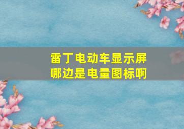 雷丁电动车显示屏哪边是电量图标啊