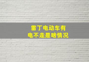 雷丁电动车有电不走是啥情况