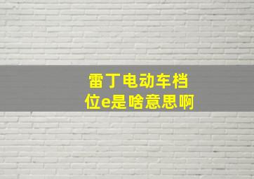 雷丁电动车档位e是啥意思啊