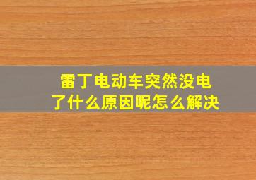 雷丁电动车突然没电了什么原因呢怎么解决