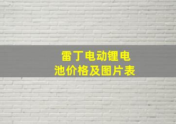 雷丁电动锂电池价格及图片表