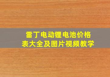 雷丁电动锂电池价格表大全及图片视频教学