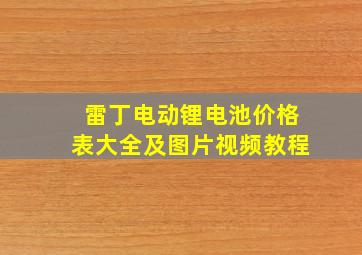 雷丁电动锂电池价格表大全及图片视频教程