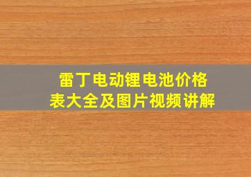 雷丁电动锂电池价格表大全及图片视频讲解