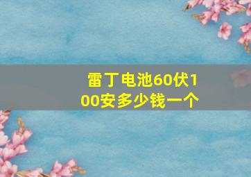 雷丁电池60伏100安多少钱一个