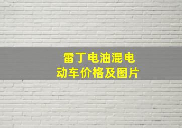 雷丁电油混电动车价格及图片