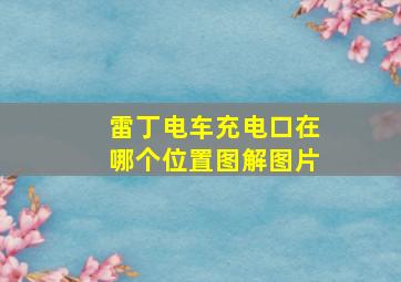 雷丁电车充电口在哪个位置图解图片