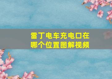 雷丁电车充电口在哪个位置图解视频