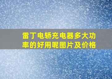 雷丁电轿充电器多大功率的好用呢图片及价格