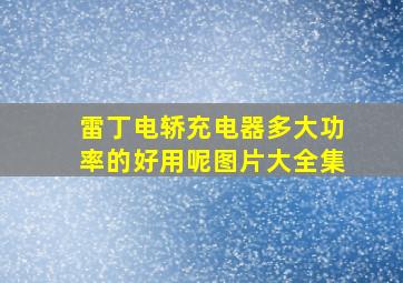 雷丁电轿充电器多大功率的好用呢图片大全集