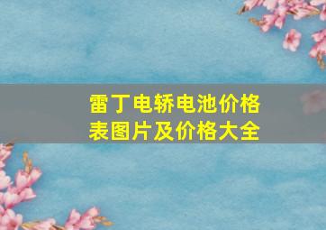 雷丁电轿电池价格表图片及价格大全