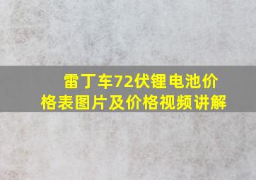 雷丁车72伏锂电池价格表图片及价格视频讲解