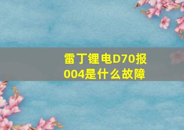 雷丁锂电D70报004是什么故障