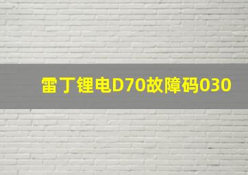 雷丁锂电D70故障码030