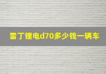 雷丁锂电d70多少钱一辆车