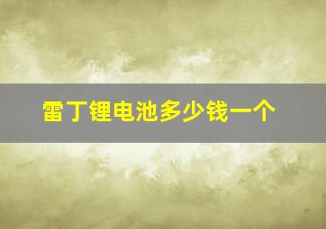 雷丁锂电池多少钱一个