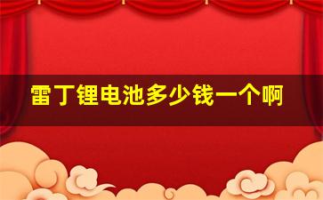 雷丁锂电池多少钱一个啊