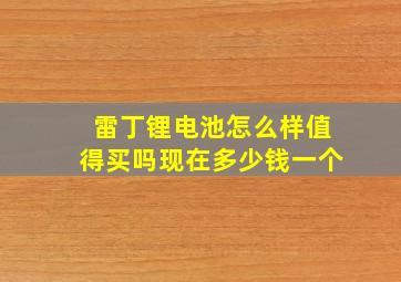 雷丁锂电池怎么样值得买吗现在多少钱一个