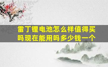 雷丁锂电池怎么样值得买吗现在能用吗多少钱一个