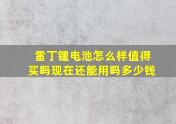 雷丁锂电池怎么样值得买吗现在还能用吗多少钱