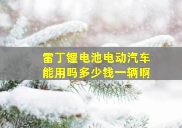 雷丁锂电池电动汽车能用吗多少钱一辆啊