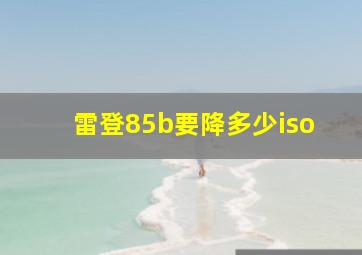 雷登85b要降多少iso