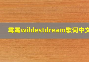 霉霉wildestdream歌词中文版