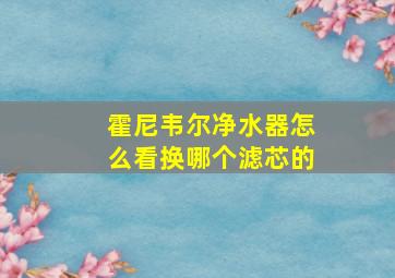 霍尼韦尔净水器怎么看换哪个滤芯的