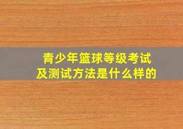 青少年篮球等级考试及测试方法是什么样的