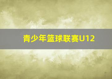 青少年篮球联赛U12