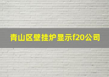 青山区壁挂炉显示f20公司