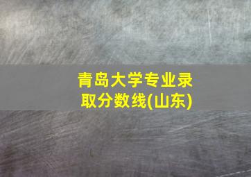 青岛大学专业录取分数线(山东)