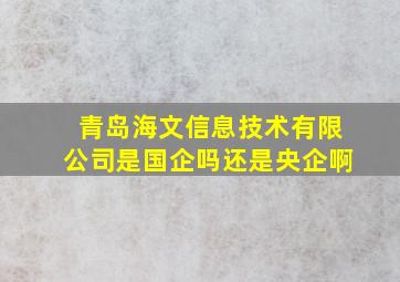 青岛海文信息技术有限公司是国企吗还是央企啊