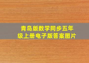 青岛版数学同步五年级上册电子版答案图片