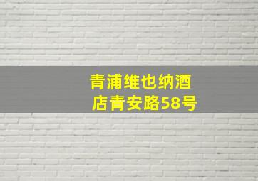 青浦维也纳酒店青安路58号