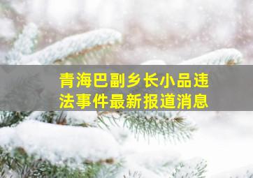 青海巴副乡长小品违法事件最新报道消息