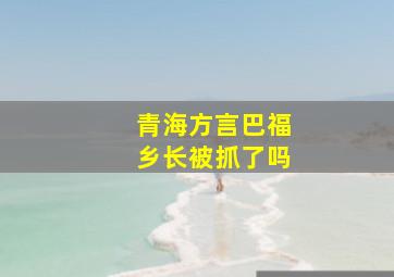 青海方言巴福乡长被抓了吗