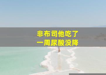 非布司他吃了一周尿酸没降