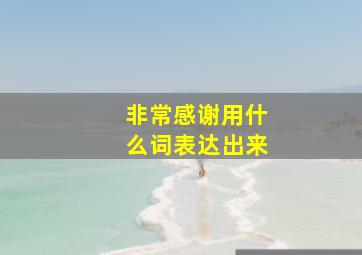 非常感谢用什么词表达出来