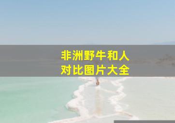 非洲野牛和人对比图片大全