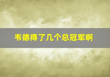 韦德得了几个总冠军啊