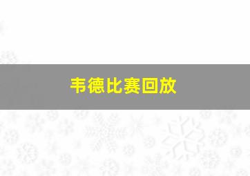 韦德比赛回放