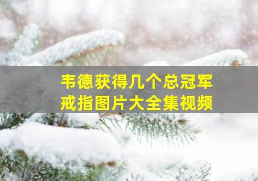 韦德获得几个总冠军戒指图片大全集视频