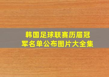 韩国足球联赛历届冠军名单公布图片大全集