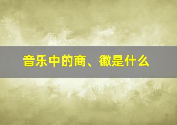 音乐中的商、徽是什么