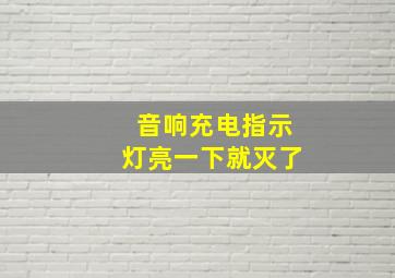 音响充电指示灯亮一下就灭了